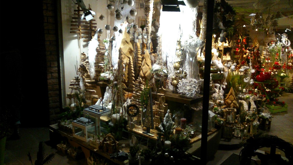 DSC_0997 (Copier).jpg