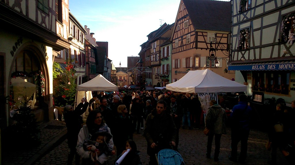 DSC_1004 (Copier).jpg