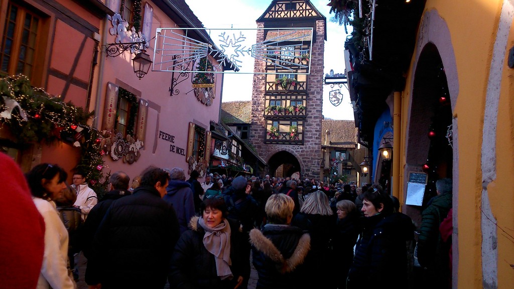 DSC_1010 (Copier).jpg