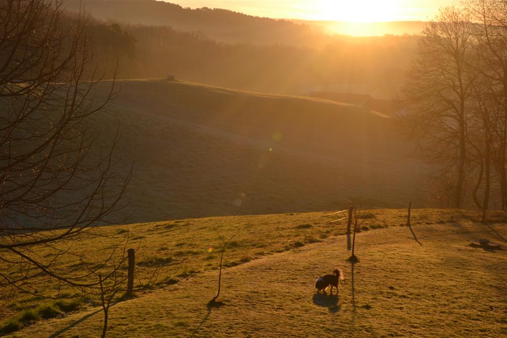 La Minerve 062 (Large).jpg