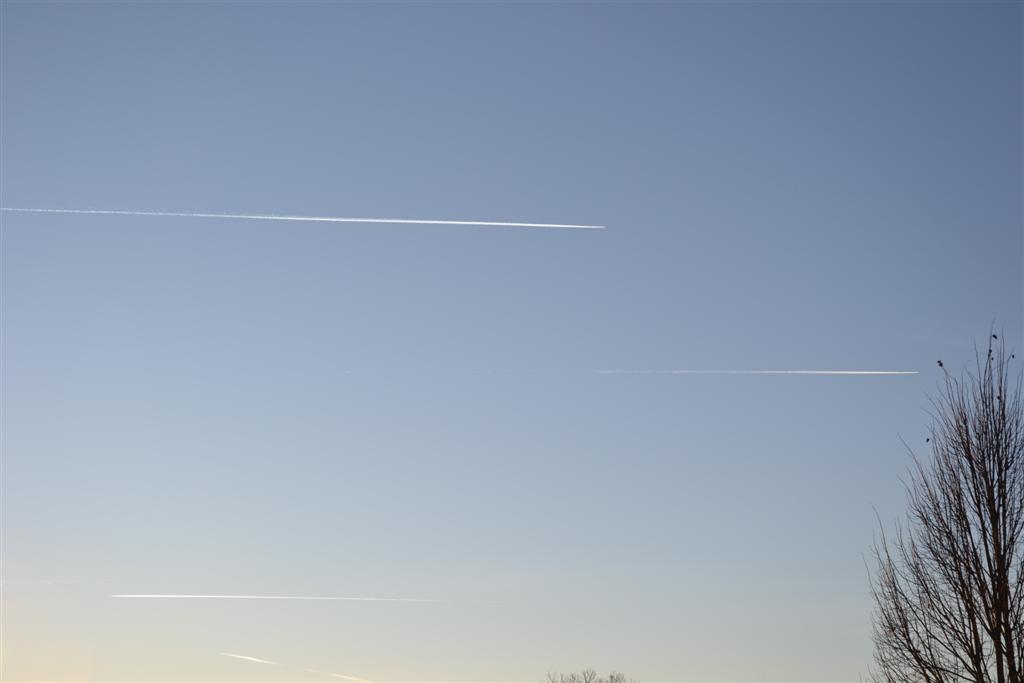 La Minerve 064 (Large).jpg