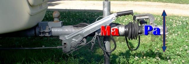 timon,jeu autorisé ???