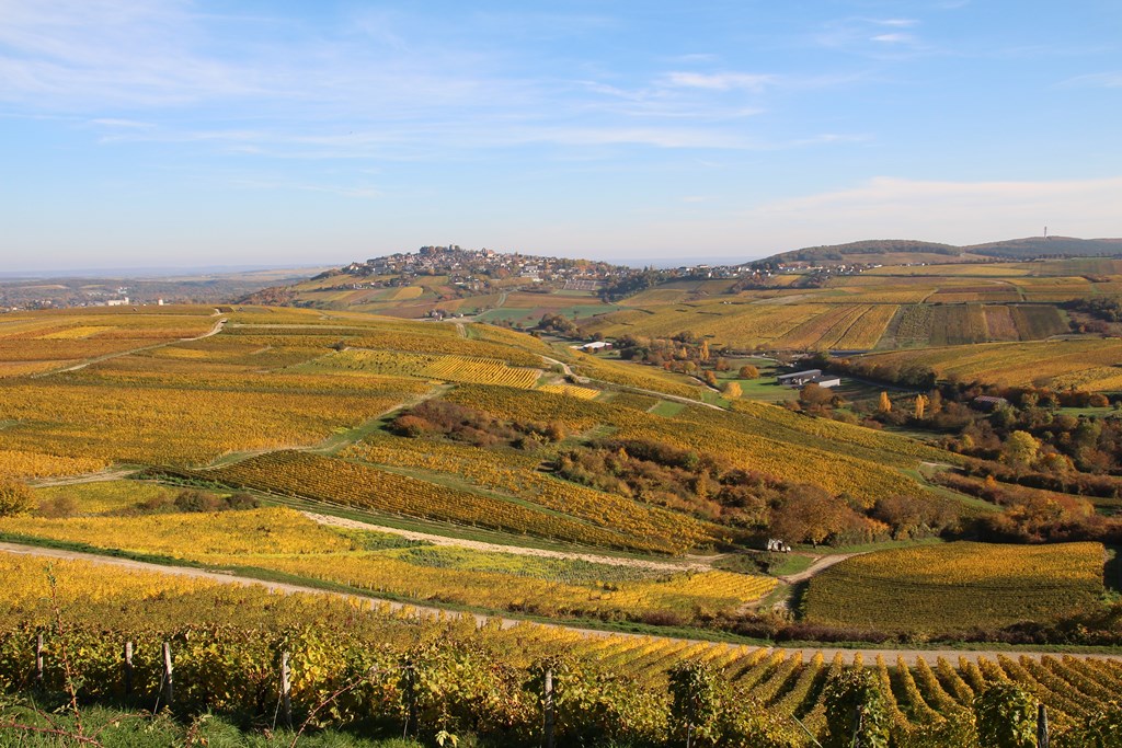 sancerre 102015 008 (Copier).JPG