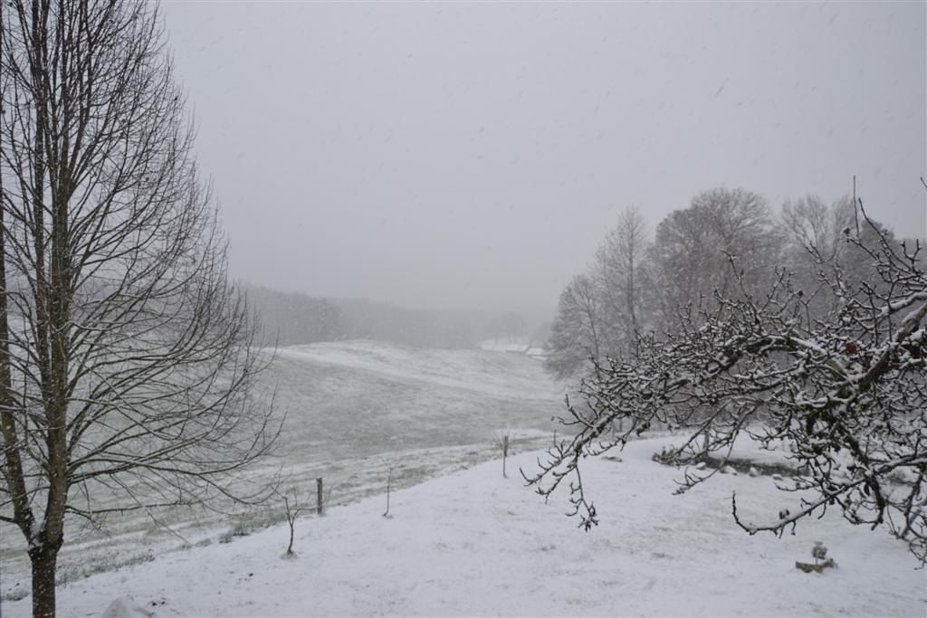 La Minerve 004 (Large).jpg