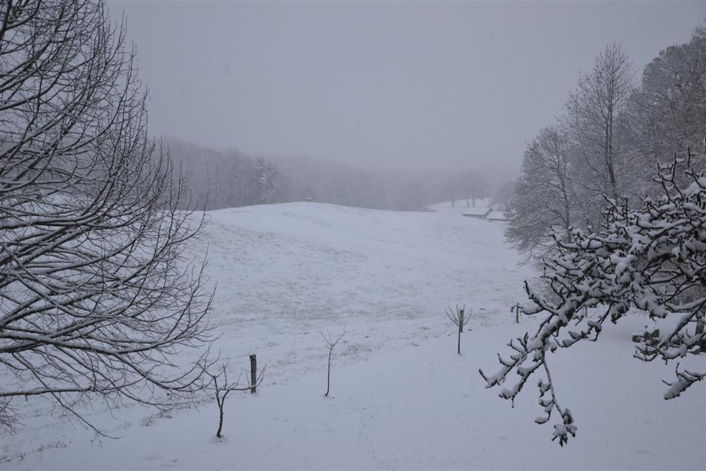 La Minerve 006 (Large).jpg