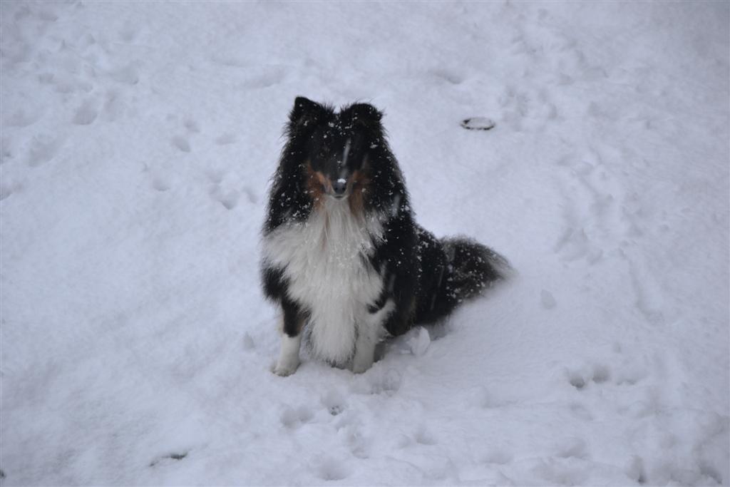 La Minerve 007 (Large).jpg