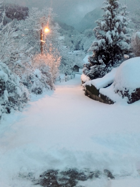 mon chemin ,30 cm ce samedi matin