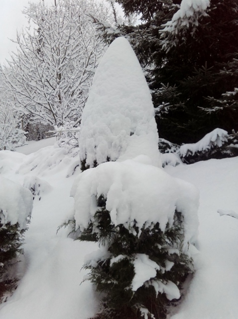 nous aussi ,on a des menhirs