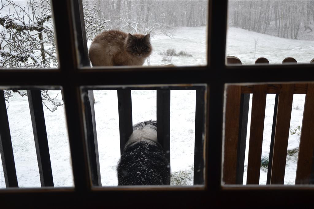 La Minerve 019 (Large).jpg