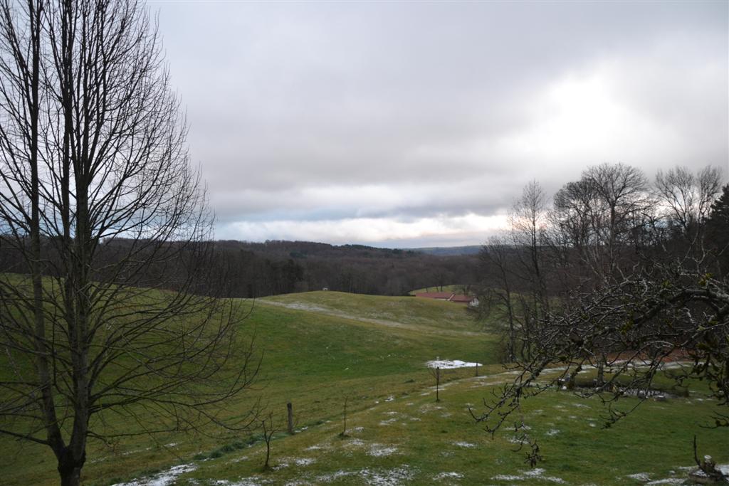 La Minerve (Large).jpg