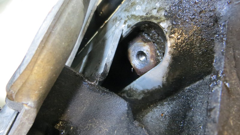 Atelage Triton 12.JPG