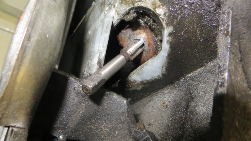 Atelage Triton 17.JPG