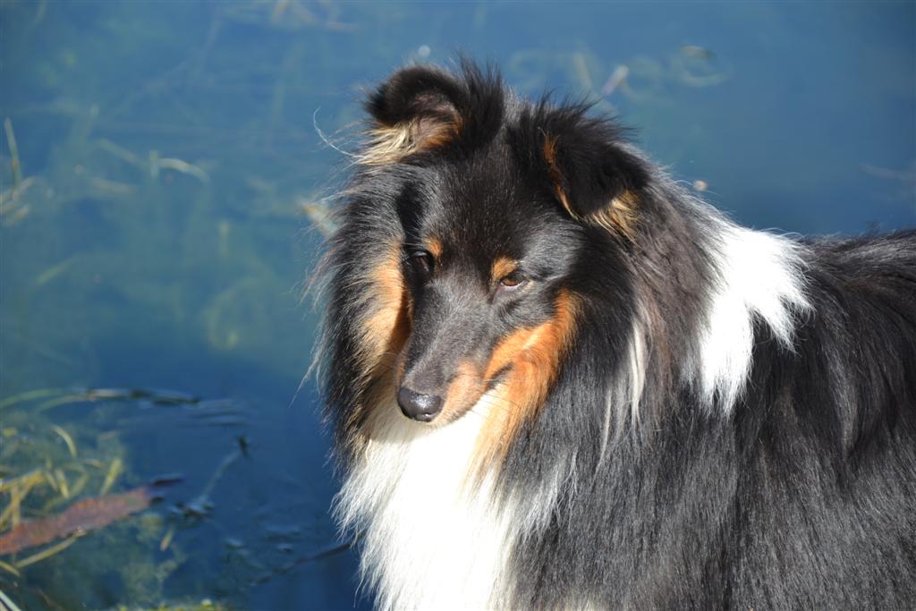 La Minerve 046 (Large).jpg