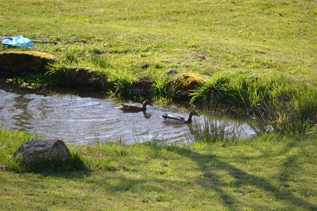 Col vert La Minerve 028 (Large).jpg