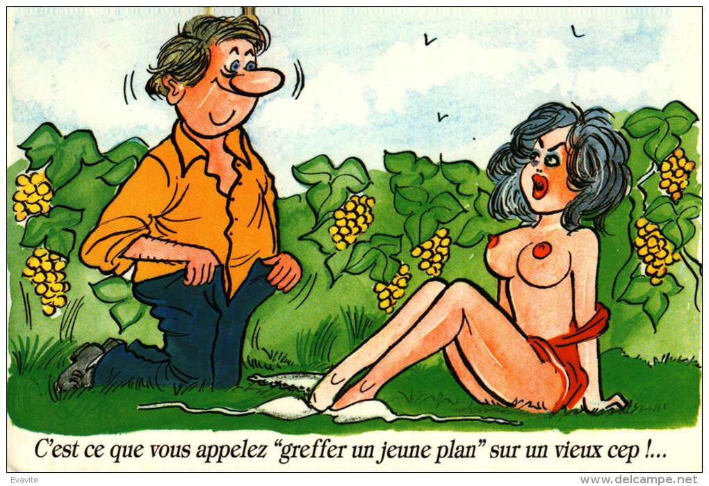 Vieux cep pour jeune plante.jpg