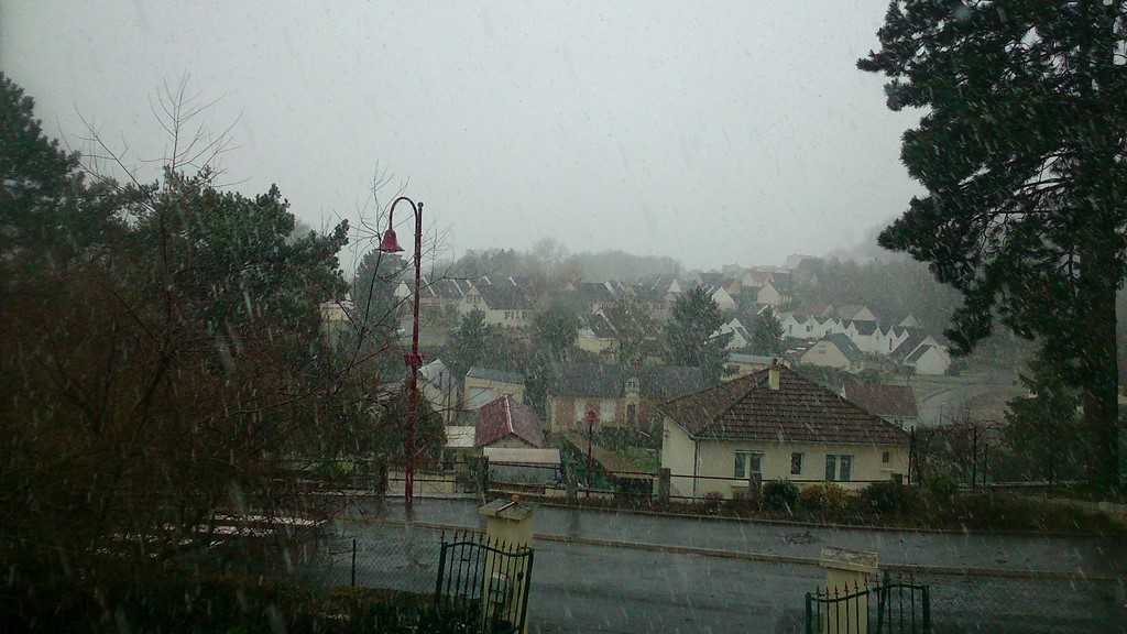 DSC_1131 (Copier).jpg