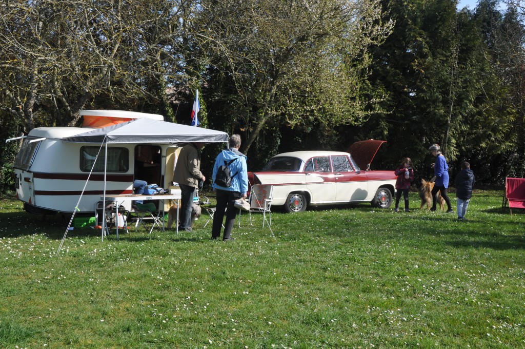 DSC_0471.JPG