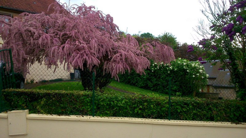 DSC_1194 (Copier).jpg