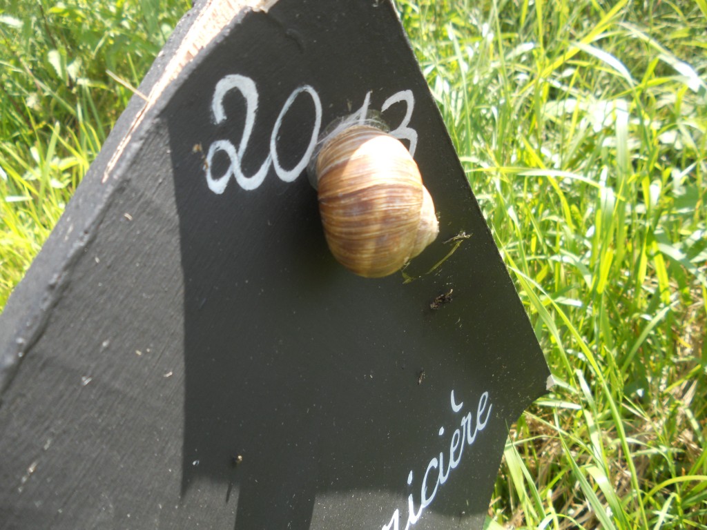 2016-06-18 14.20.58.jpg