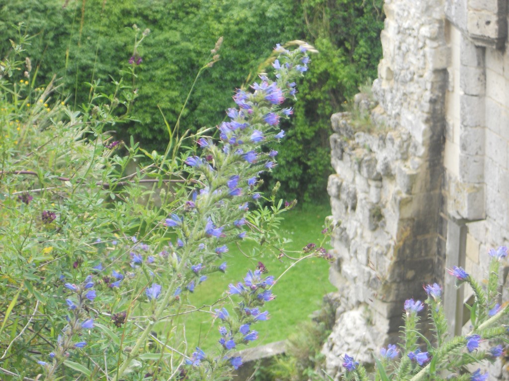 2016-06-20 15.18.44.jpg