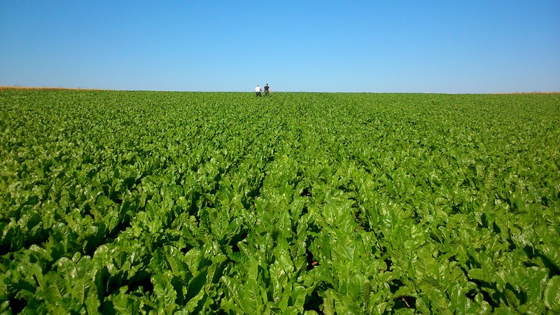 Quelques fois, ça fais long !