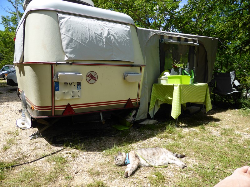 P1050217 (Copier).JPG