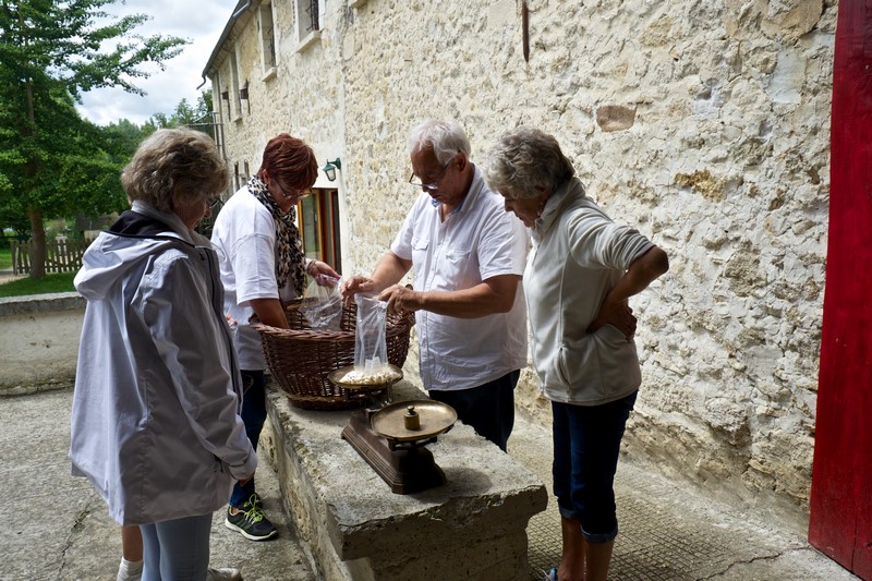 Haricots de Soissons ! La pesée ! !