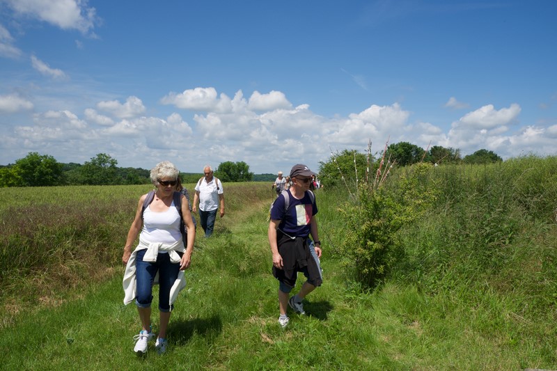 66      SOISSONS 2016 (Copier).jpg