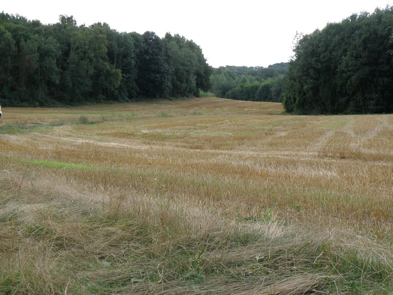 La moisson est terminée ! !