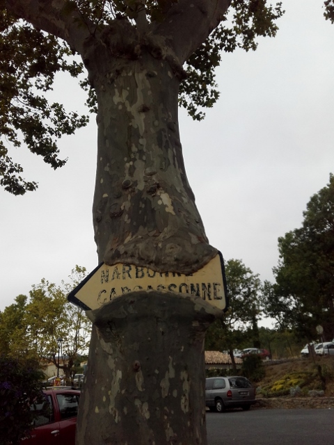 20160815_113124 (480x640).jpg