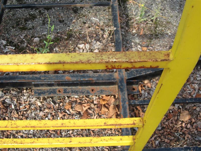 IMG_3708 (Medium).JPG