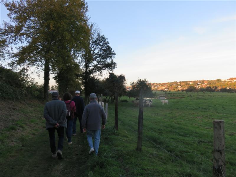 Criel-2016 021 (Medium).jpg