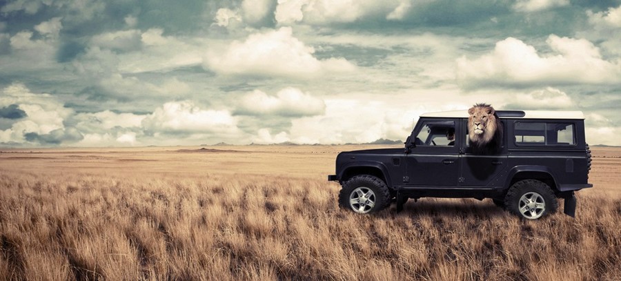 Encore un land ! .jpg