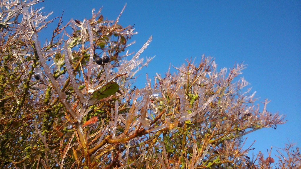 DSC_1553 (Copier).jpg