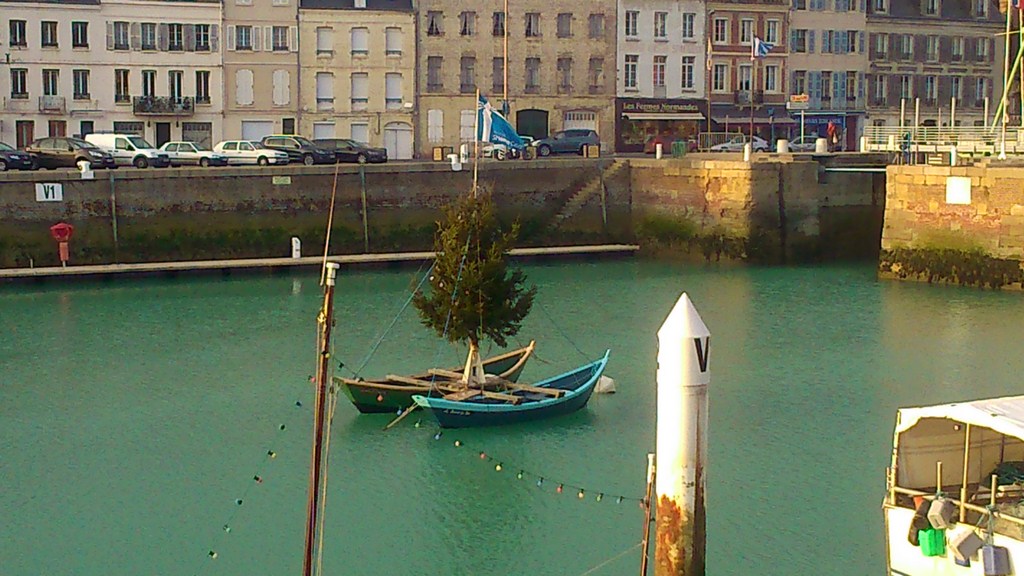 DSC_1557 (Copier).jpg