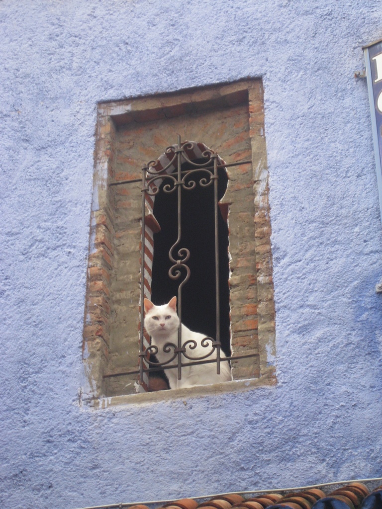 IMG_7786 (Copiar).JPG