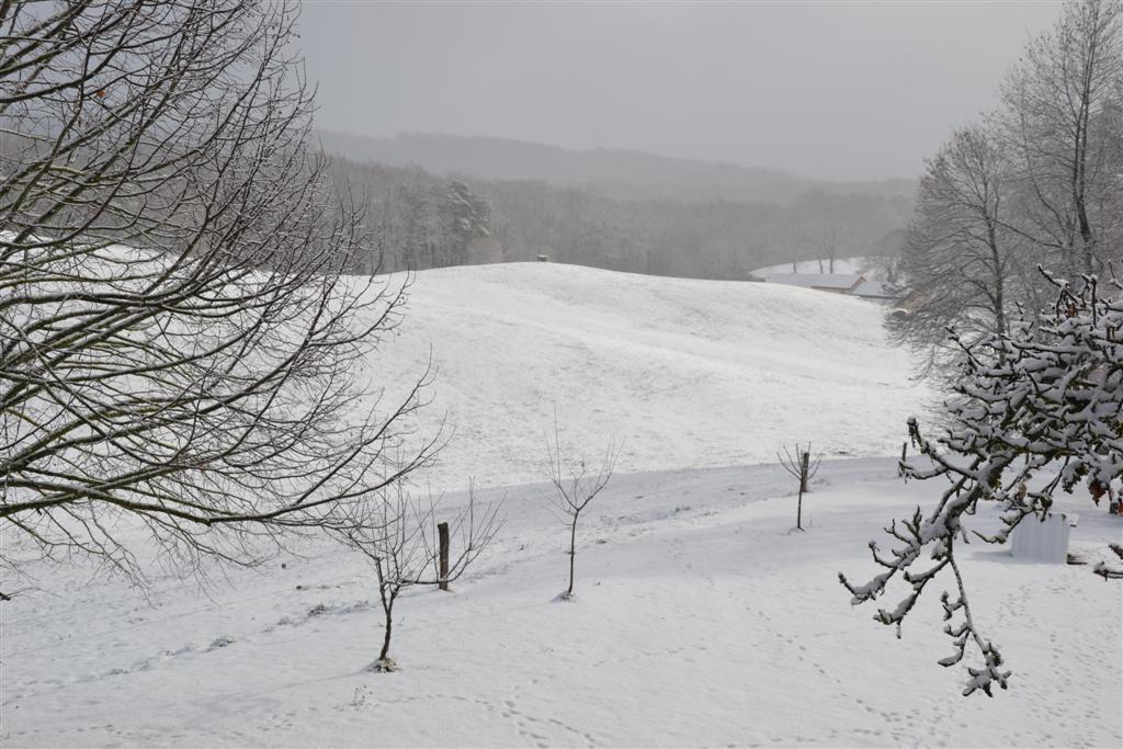 La Minerve (Large).jpg