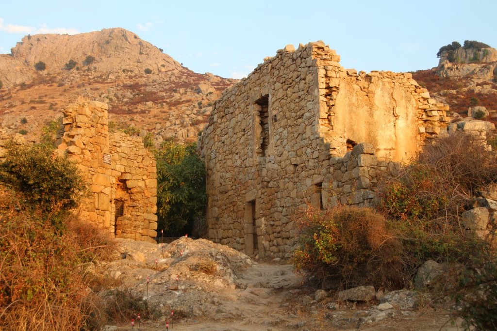 corse2016balagne 088 (Copier).JPG