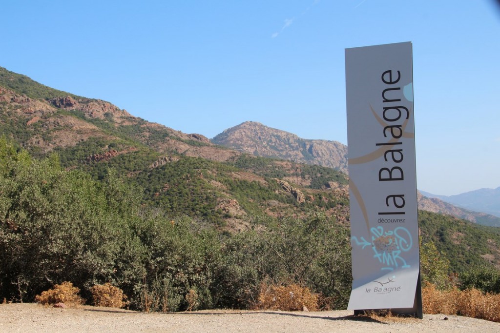 corse2016balagne 073 (Copier).JPG
