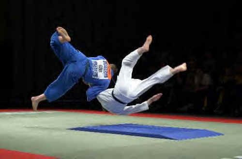 Judo1[1].jpg