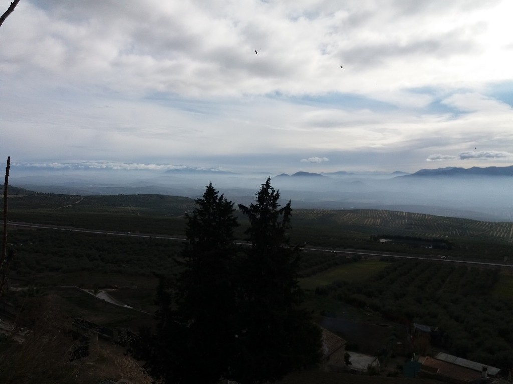 Paisaje de olivar