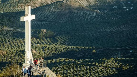 Paisaje de olivar(1)