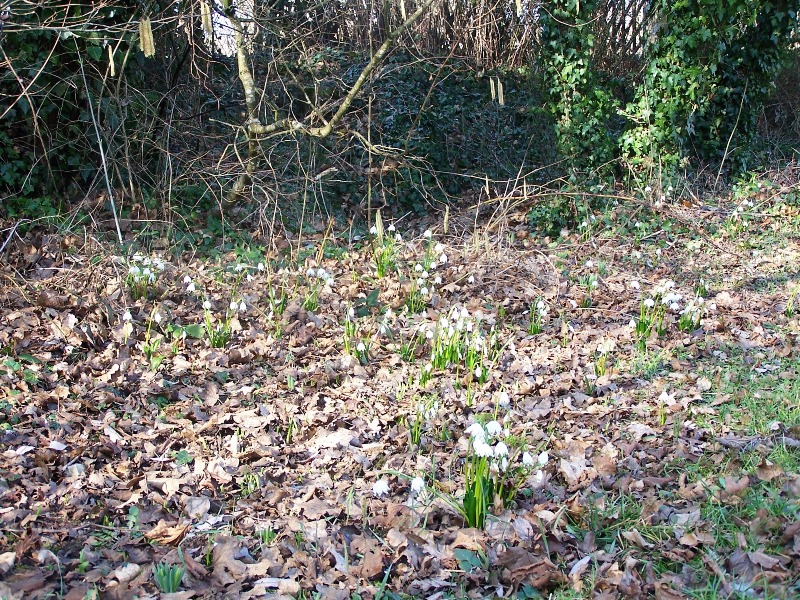 100_5831.JPG