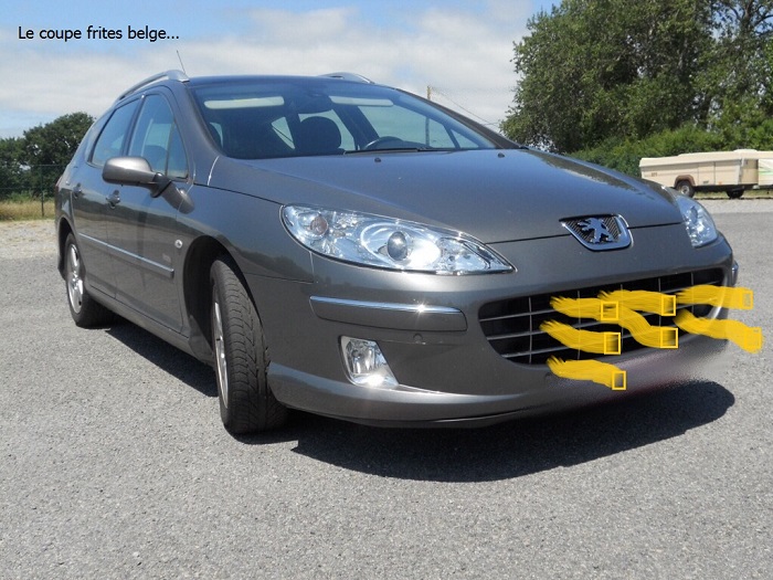 Fernand 407 Peugeot.jpg