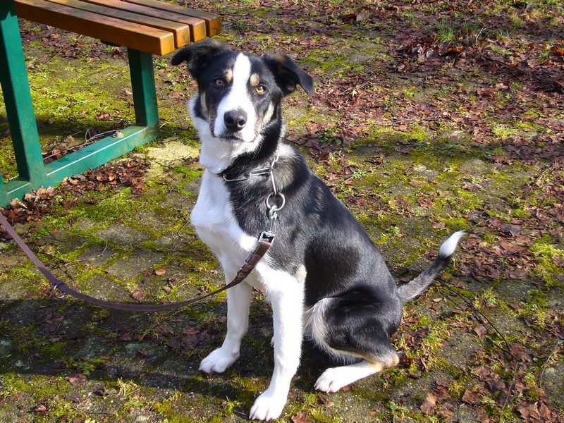 P1060165 (Copier).JPG