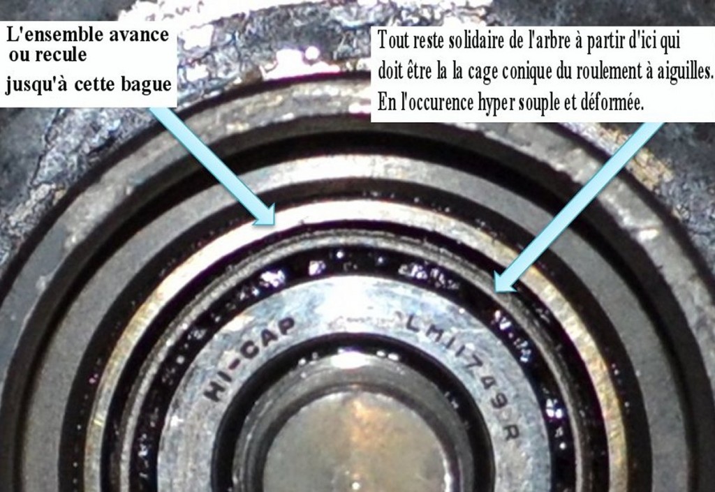 DETAIL - Copie.jpg