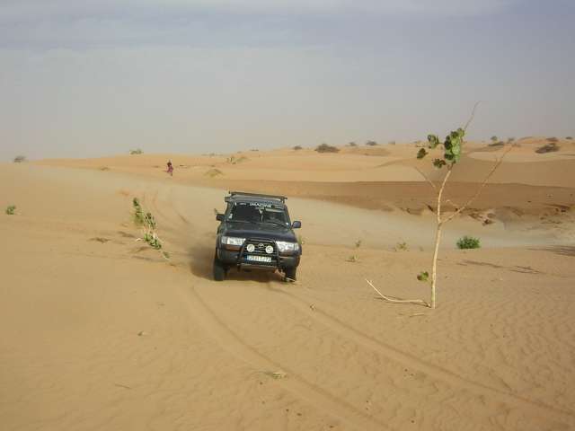 Afrique 2008 135_PhotoRedukto.jpg