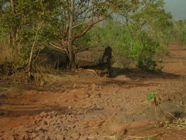 Afrique 2008 226_PhotoRedukto.jpg
