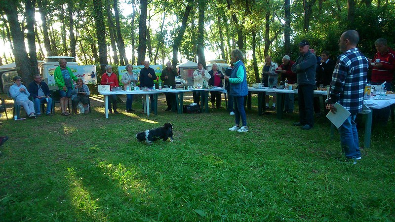 DSC_0118 (Copier).jpg