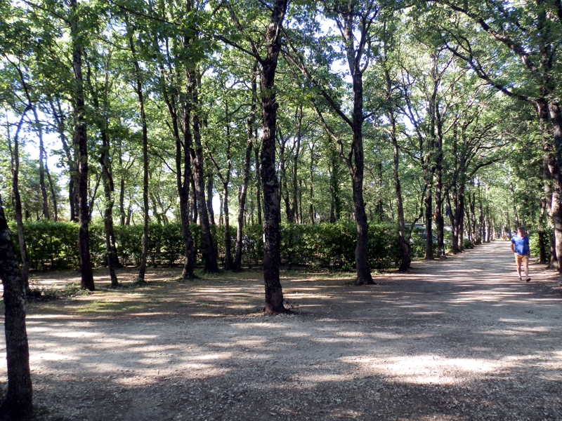 C'est presque fini.jpg